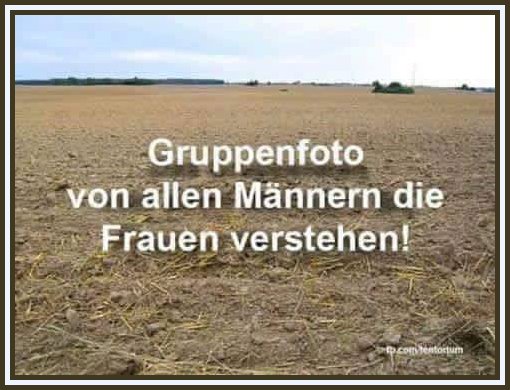 Image Result For Lateinische Zitate Intelligenz Image Result For Lateinische Zitate Intelligenz